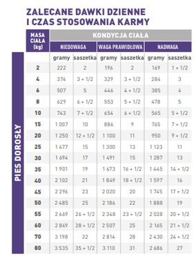 ROYAL CANIN Adult Dog 12x100g