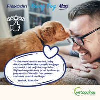 VETOQUINOL Flexadin Jonge Hond Maxi 60 pods