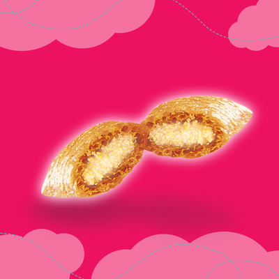 DREAMIES Kattensnack met rundvlees 60g 