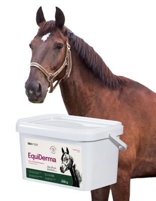 Lab-v EquiDerma - Aanvullend diervoeder voor paarden en pony's ter ondersteuning van huid-, vacht- en hoefconditie 2kg