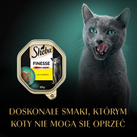 SHEBA Finesse tray 85 g - volledig natvoer voor volwassen katten, met kip, in paté