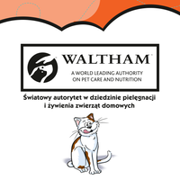 DREAMIES Kattensnack Kip 60g -