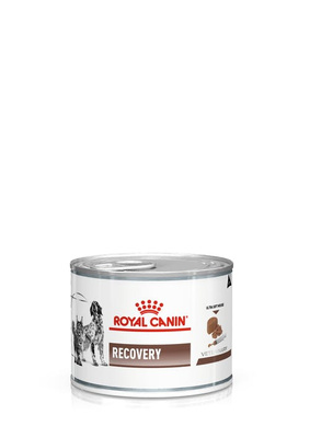 ROYAL CANIN Herstel 6x195g