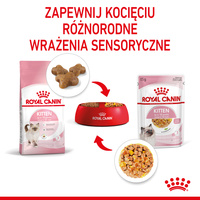 ROYAL CANIN Kitten Instinctive in Jell-O 12x85g