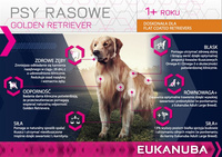 Eukanuba Adult Golden Retriever 12kg + GRATIS een verrassing voor je hond!