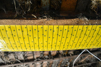 Kerbl Vliegenval op rol van 7m