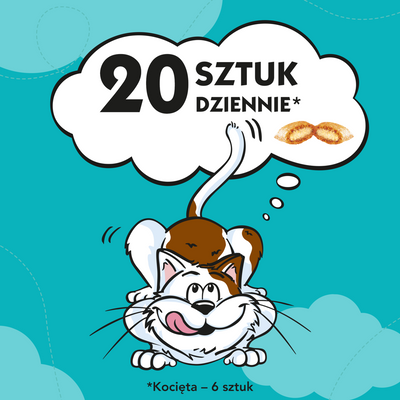 DREAMIES Zalm Kattensnack 60g 