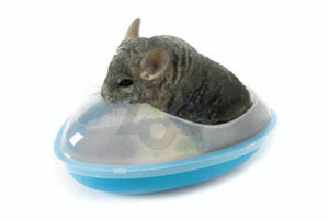 SAVIC Badkooi voor chinchilla's 35x23x15cm