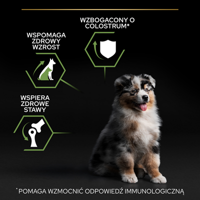 Purina Pro Plan Medium Puppy Optistart Kip & Rijst 12kg