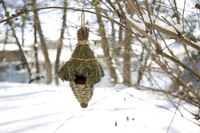KERBL Hangend vogelnestje van gras, 27 cm x Ø 12 cm