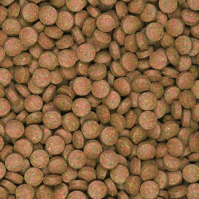 Tropical SuperVit 830st Tabletten B 250ml