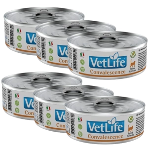Farmina Vet Life Feline Herstel 6x85g