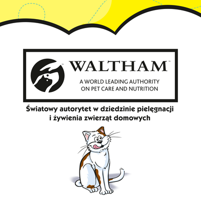 DREAMIES Kaas Kattensnack 60g