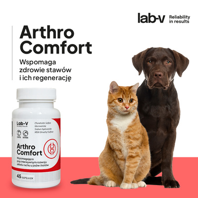 LAB-V Arthro Comfort - Uitgebreide ondersteuning van de gezondheid van gewrichten en bewegingsapparaat voor honden en katten 45 capsules