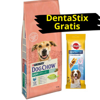 Purina Dog Chow Light Adult met kalkoen 2x14kg 