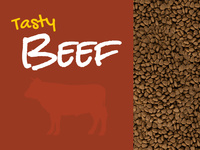 JosiCat Josera Tasty Beef 18kg