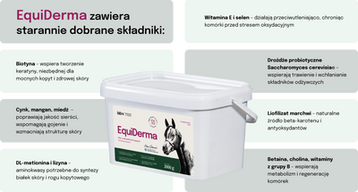 Lab-v EquiDerma - Aanvullend diervoeder voor paarden en pony's ter ondersteuning van huid-, vacht- en hoefconditie 2kg