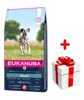 Eukanuba Adult Large Salmon&Barley 12kg + GRATIS een verrassing voor je hond!