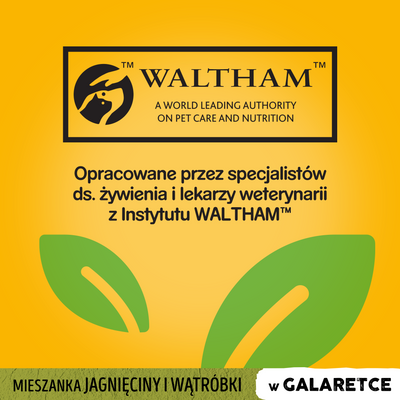 Pedigree Natvoer voor Volwassen Honden met Lam Gelei 100g