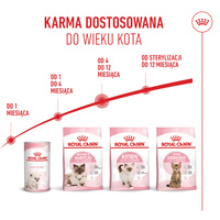 ROYAL CANIN Kitten 10kg