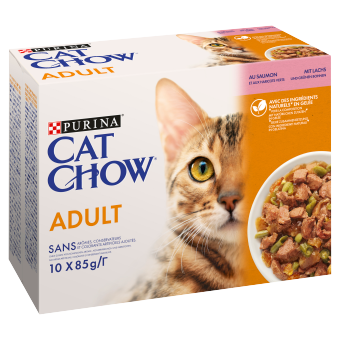 PURINA Cat Chow Adult kattenvoer met zalm en sperziebonen in gelei 10x85 g