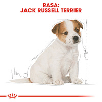 ROYAL CANIN Jack Russell Terrier Puppy 3kg