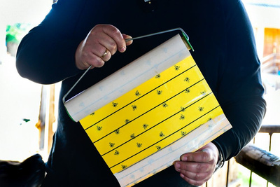 Kerbl Vliegenval op rol van 7m