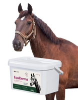 Lab-v EquiDerma - Aanvullend diervoeder voor paarden en pony's ter ondersteuning van huid-, vacht- en hoefconditie 2kg
