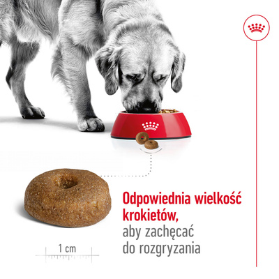 ROYAL CANIN Maxi Ageing 8+ 15kg