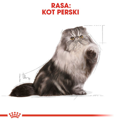ROYAL CANIN Persian Adult 400g 