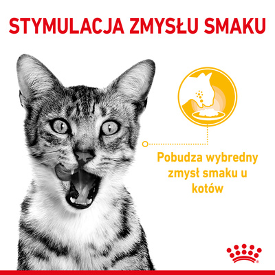 ROYAL CANIN Sensory Taste natvoer, stukjes in saus 12x85g