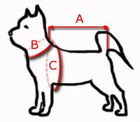 KERBL Veiligheidsgordel M voor honden 50-70cm 