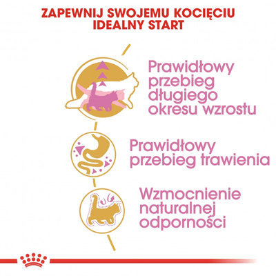 ROYAL CANIN Maine Coon Kitten 400g