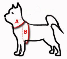 DINGO reflecterend harnas met Reflex 50 tape zwart