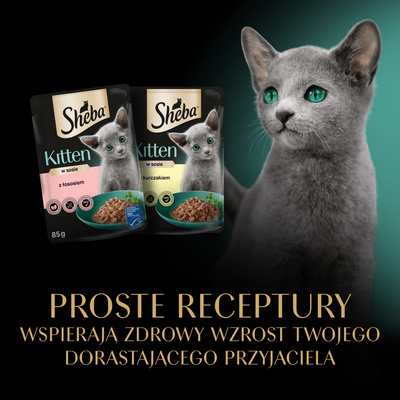 SHEBA Kitten Flavour Sachets 40x85 g - volledig natvoer voor kittens in saus (versnijdingen met: zalm, kip)