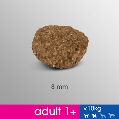 PERFECT FIT Adult 1+ Kleine rassen met kip 6kg