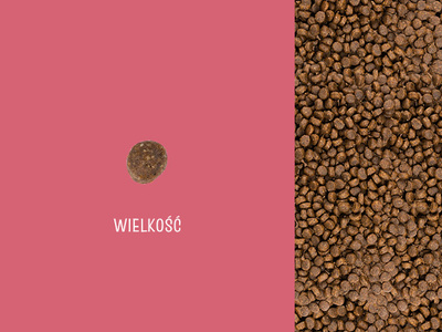 JOSERA JosiCat Kat 10kg