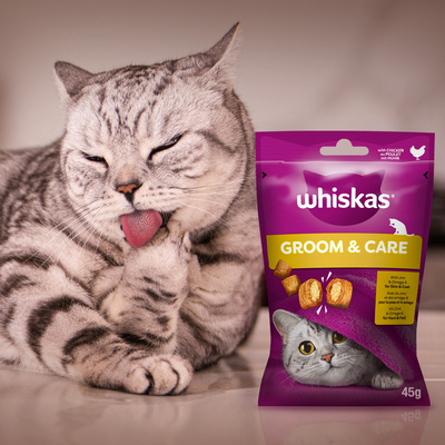 WHISKAS Healthy Shine 45g kattensnoepje, met kip