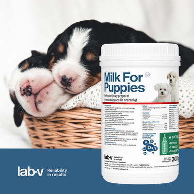 LAB-V Melk Voor Puppy's 200g-Set met fles en spenen