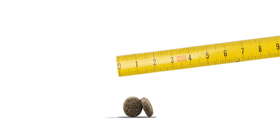 JOSERA Mini Junior 10kg  