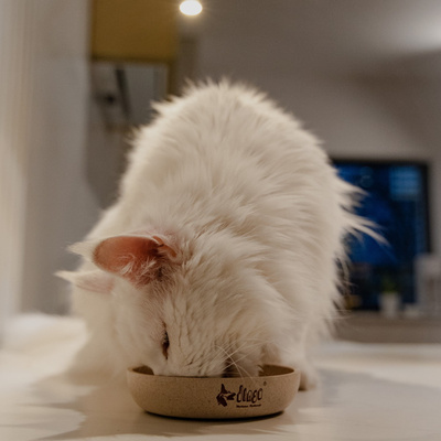 DINGO-bamboevezel anti-slip kom - 200ml 