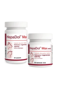 Dolfos Hepadol Max 60 tabletten