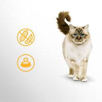 PERFECT FIT Sensitive 1+ met kalkoen 7kg