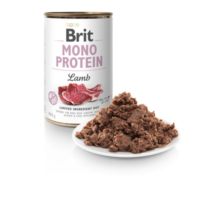 Brit Mono Protein Lamb 6x400g