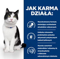 Hill's PD Prescription Diet Feline i/d 6x85g