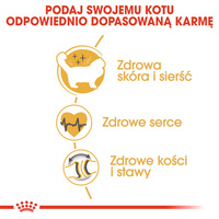 ROYAL CANIN Ragdoll Adult 400g