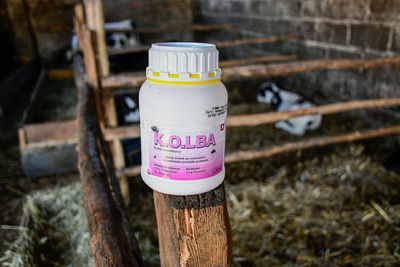 Kerbl-Kolba Insecticide voor vliegen - 500 ml