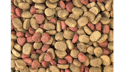 DINO Droogvoer voor honden met rund 20kg