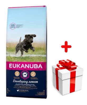 Eukanuba Junior Large 15kg + GRATIS een verrassing voor je hond!