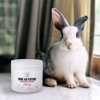 PETS HOME AIR NEUTRALIZER voor interieurs met citrusgeur 170g